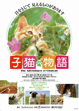 小猫的故事(全集)